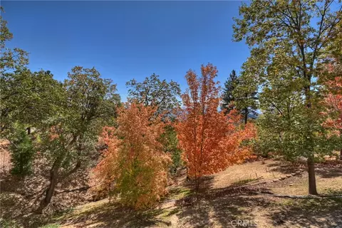 Other - 22 Holly Dr, Running Springs, CA 92382 photo 2 of 24
