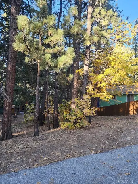 42736 Willow Ave, Big Bear Lake, CA 92315