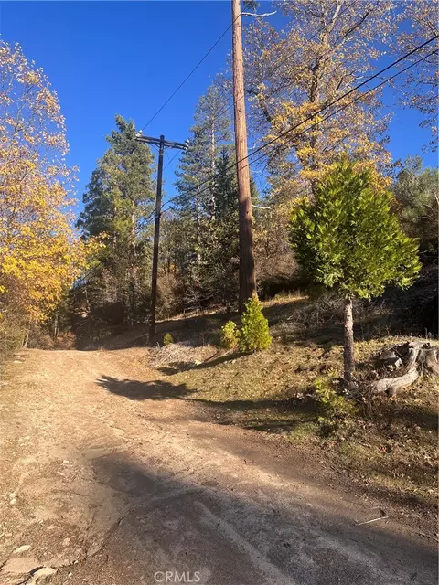 29834 Juniper Dr, Cedar Glen, CA 92321