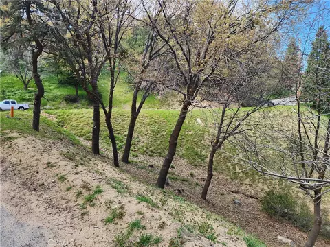 327 Davos Dr, Crestline, CA 92325 photo 16