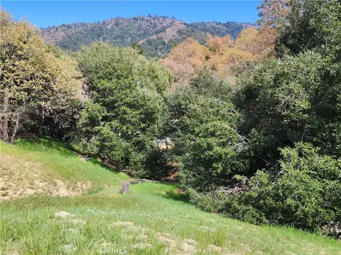 327 Davos Dr, Crestline, CA 92325 photo 21