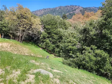 327 Davos Dr, Crestline, CA 92325 photo 22