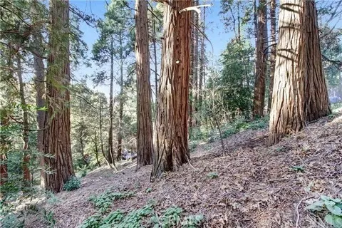 2662 Scenic, Crestline, CA 92325
