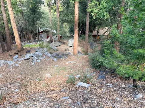 40904 Spruce, Forest Falls, CA 92339 photo 5