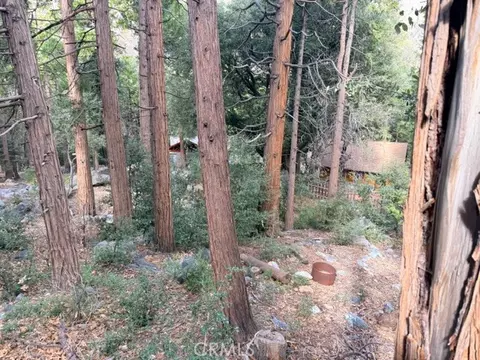 40904 Spruce, Forest Falls, CA 92339 photo 2