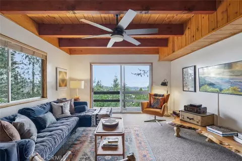 Living - 24032 Skyland, Crestline, CA 92325 photo 3 of 8