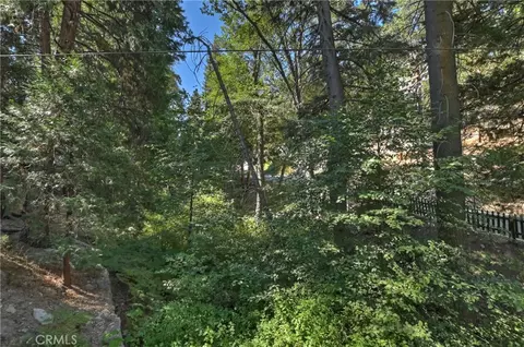 Exterior - 29591 Hook Creek Rd, Cedar Glen, CA 92321 photo 9 of 13