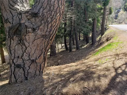 24155 San Moritz Dr, Crestline, CA 92325 photo 7