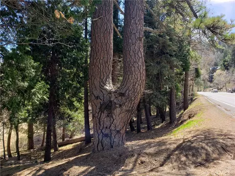 24155 San Moritz Dr, Crestline, CA 92325 photo 6