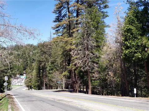24155 San Moritz Dr, Crestline, CA 92325 photo 11