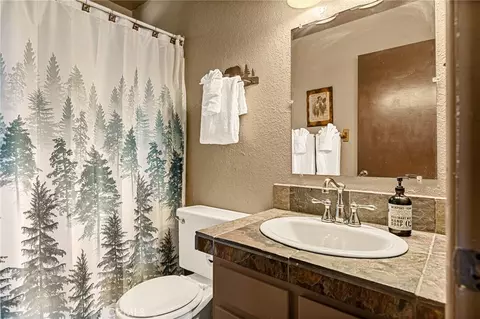 Bath - 1256 Grass Vly, Lake Arrowhead, CA 92352 photo 3 of 4