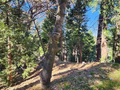 24200 Altdorf, Crestline, CA 92325 photo 23