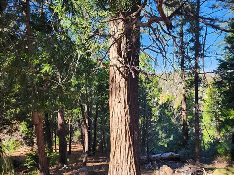 24200 Altdorf, Crestline, CA 92325 photo 26