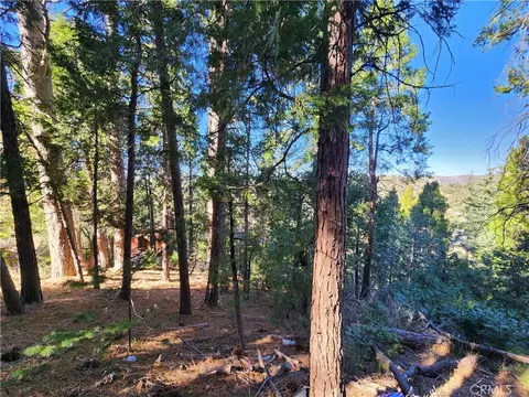 24200 Altdorf, Crestline, CA 92325 photo 9