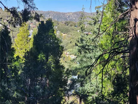 24200 Altdorf, Crestline, CA 92325 photo 27