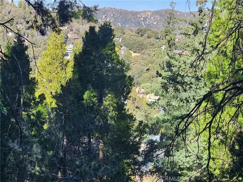24200 Altdorf, Crestline, CA 92325 photo 28