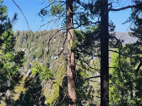 24200 Altdorf, Crestline, CA 92325 photo 12