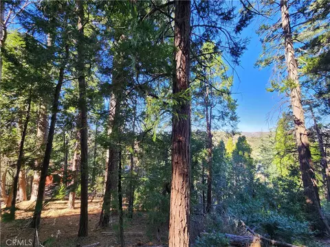 24200 Altdorf, Crestline, CA 92325 photo 29