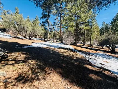 808 Antelope Mountain Dr, Big Bear City, CA 92314