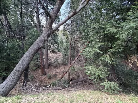 0 Hook Crk, Cedar Glen, CA 92321 photo 3