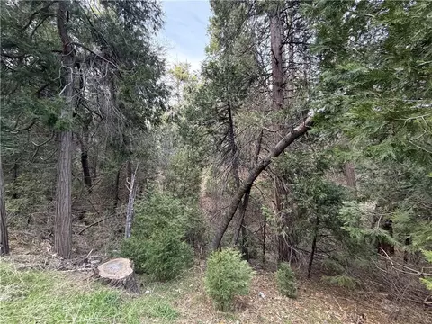 0 Hook Crk, Cedar Glen, CA 92321 photo 4