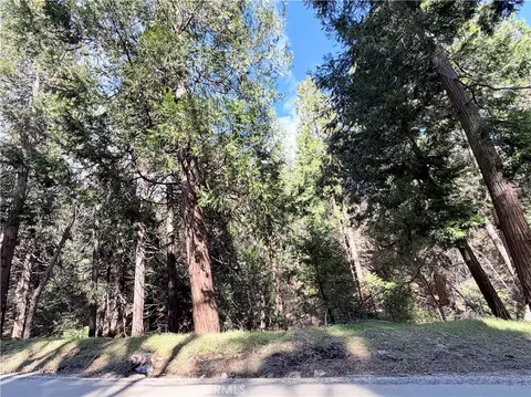 0 Hook Crk, Cedar Glen, CA 92321 photo 8