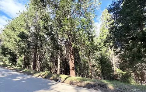 0 Hook Crk, Cedar Glen, CA 92321 photo 9