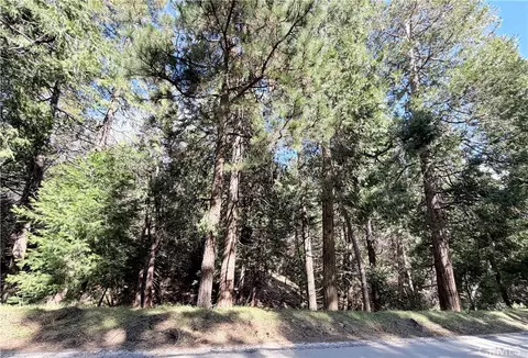0 Hook Crk, Cedar Glen, CA 92321 photo 10