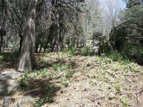 Other - 21636 Sawpit Cyn, Cedarpines Park, CA 92322 photo 21 of 22