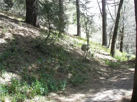 Exterior - 21636 Sawpit Cyn, Cedarpines Park, CA 92322 photo 27 of 27
