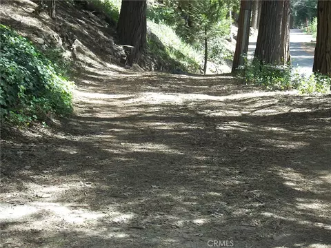 Other - 21636 Sawpit Cyn, Cedarpines Park, CA 92322 photo 20 of 22