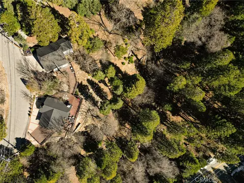 View/Area - 915 Trinity, Lake Arrowhead, CA 92352 photo 5 of 5