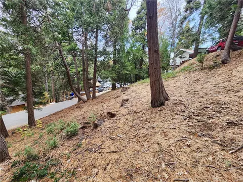 24397 Horst Dr, Crestline, CA 92325 photo 14