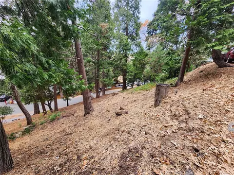 24397 Horst Dr, Crestline, CA 92325 photo 13