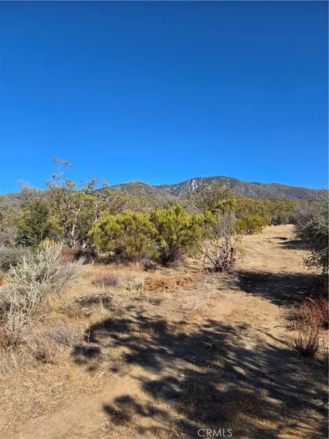 0 Howard Rd, Anza, CA 92539 photo 5