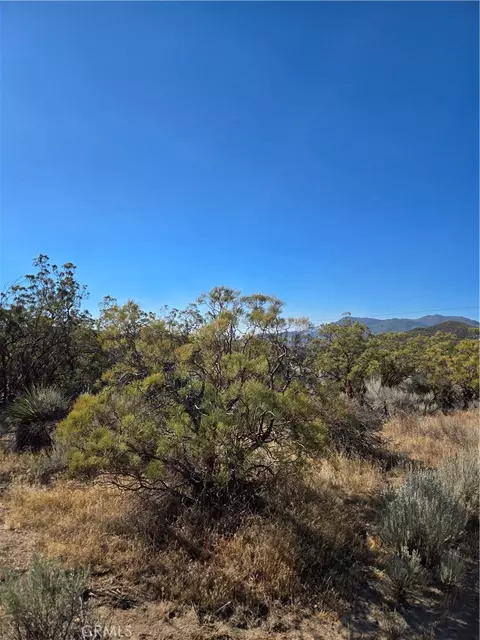 0 Howard Rd, Anza, CA 92539 photo 16