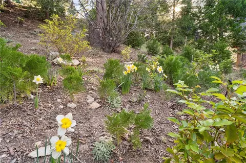 Exterior - 197 Massive Rd, Lake Arrowhead, CA 92352 photo 7 of 13