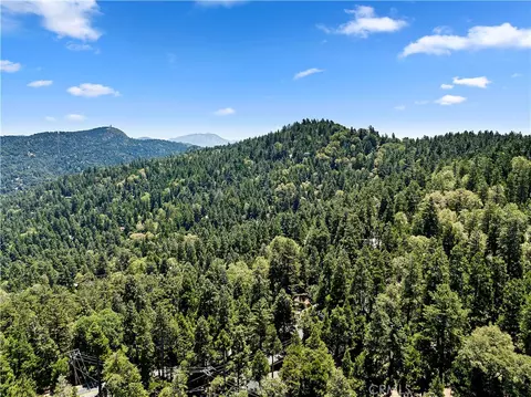 View/Area - 23746 Crest Frst, Crestline, CA 92325 photo 7 of 7