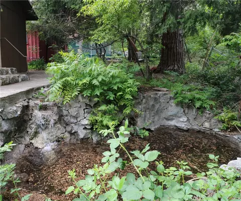 13992 Irving Ln, Lytle Creek, CA 92358