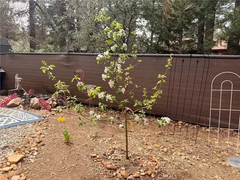 Exterior - 364 Leonard, Sugarloaf, CA 92386 photo 14 of 15