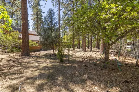 Exterior - 924 Michael, Big Bear City, CA 92314 photo 6 of 6