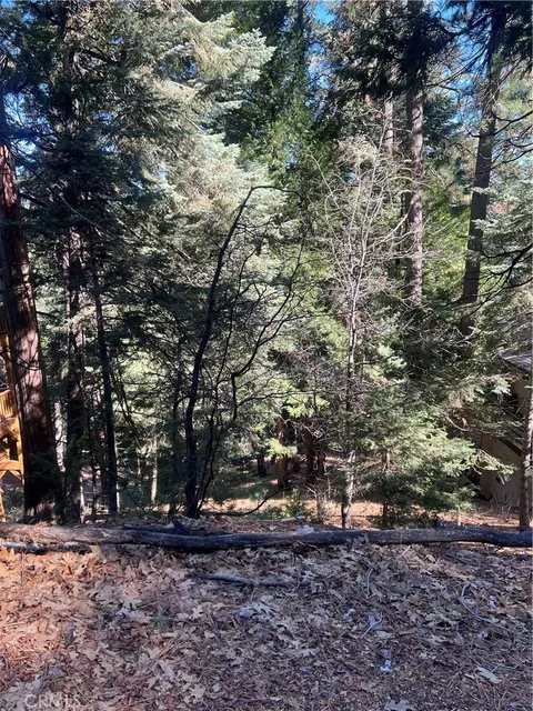 0 Forest, Twin Peaks, CA 02391