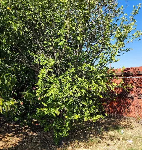 Other - 390 N 4th St, Colton, CA 92324 photo 6 of 6