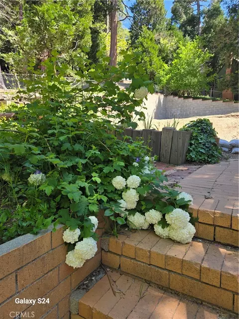 29053 Hook Creek Rd, Cedar Glen, CA 92321 photo 3