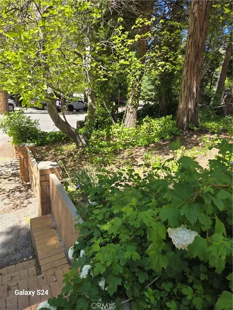 29053 Hook Creek Rd, Cedar Glen, CA 92321