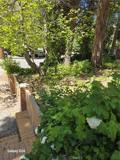 29053 Hook Creek Rd, Cedar Glen, CA 92321