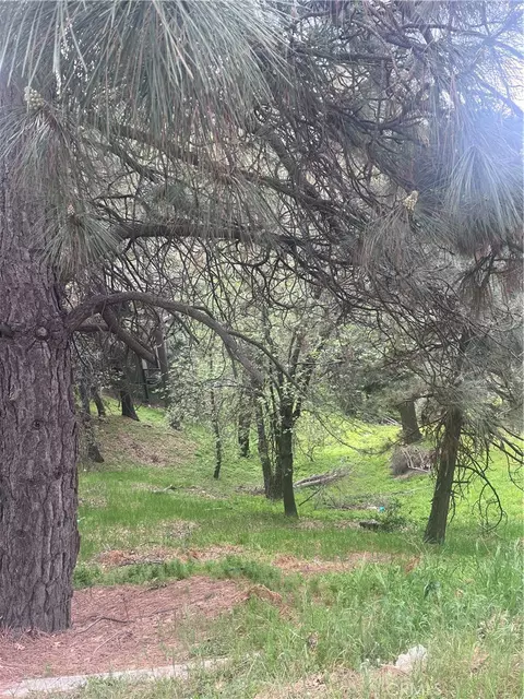 0 Jewel, Crestline, CA 92325