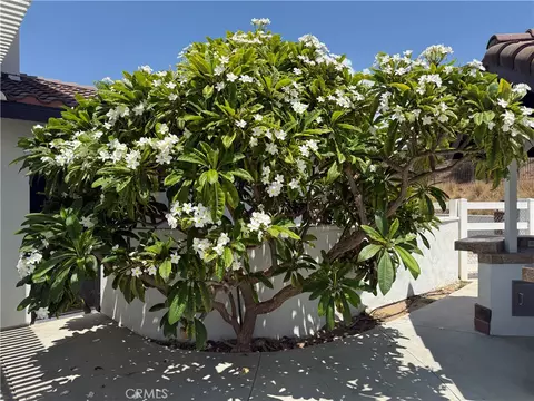 Exterior - 856 Harness, Norco, CA 92860 photo 3 of 17