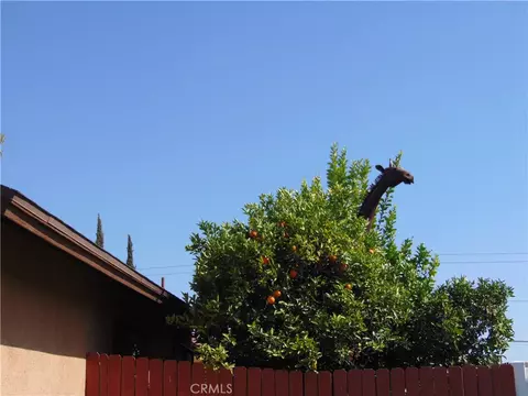 Exterior - 33763 Noreen, Yucaipa, CA 92399 photo 37 of 37