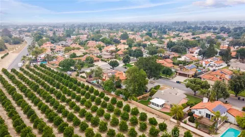 View/Area - 29 Hubbard Ct, Redlands, CA 92374 photo 7 of 8